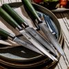 Damascus Steel Steak Knife Set. 4-pc (Green)
